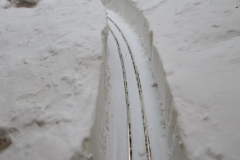 Tims-snow-02